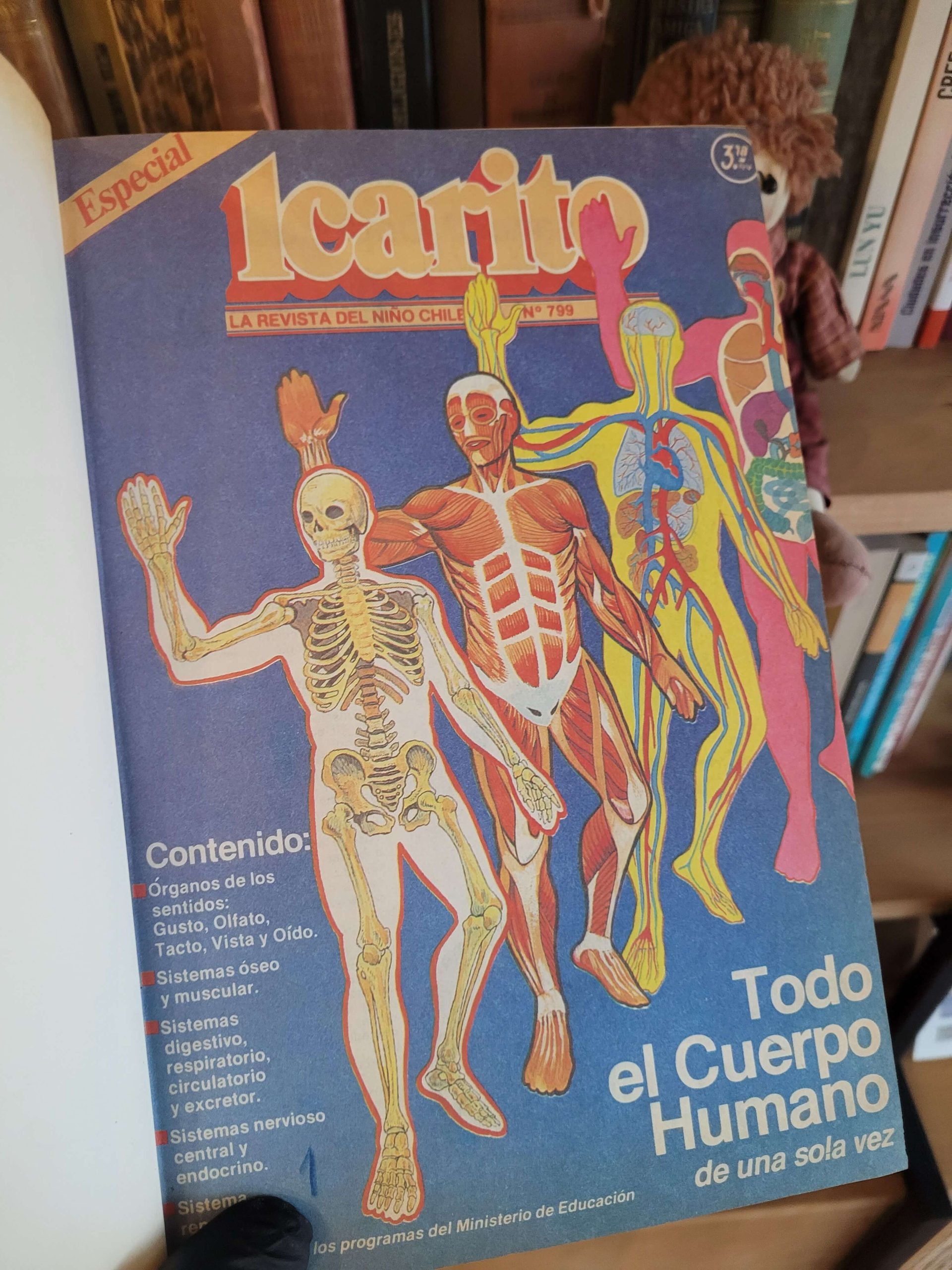 Compilado de 20 revistas ICARITO especiales (años 80s)