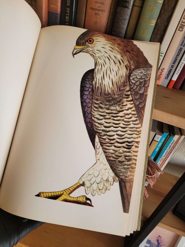 (1973) Pablo Neruda: Arte de pájaros