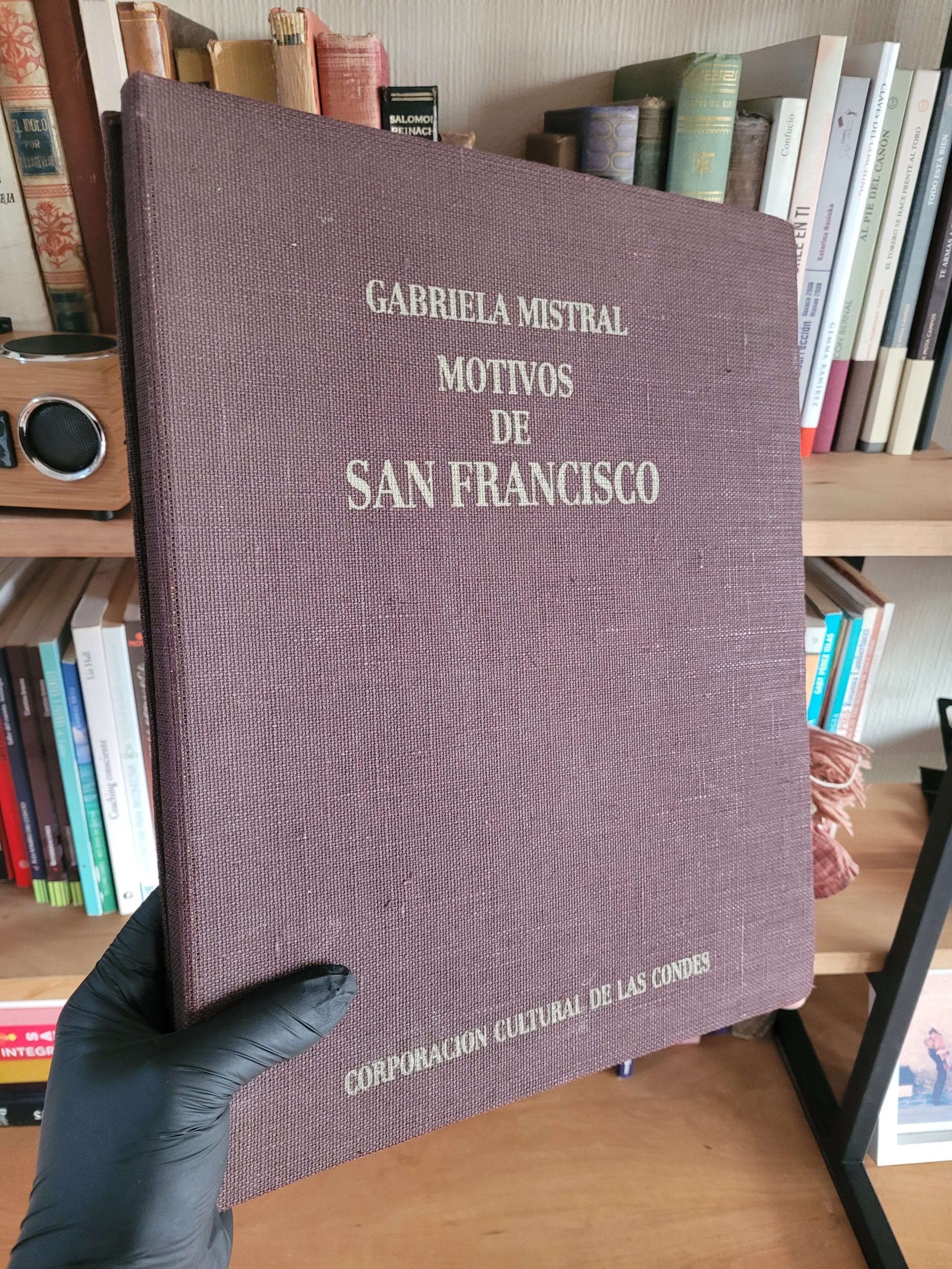 (1993) Gabriela Mistral: Motivos de San Francisco