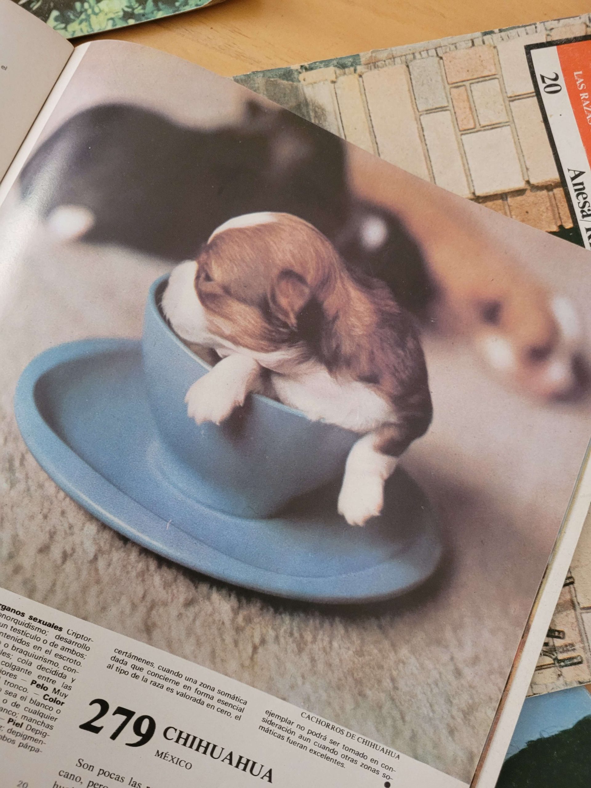 Pack ENCICLOPEDIA CANINA, años 70s (x5)