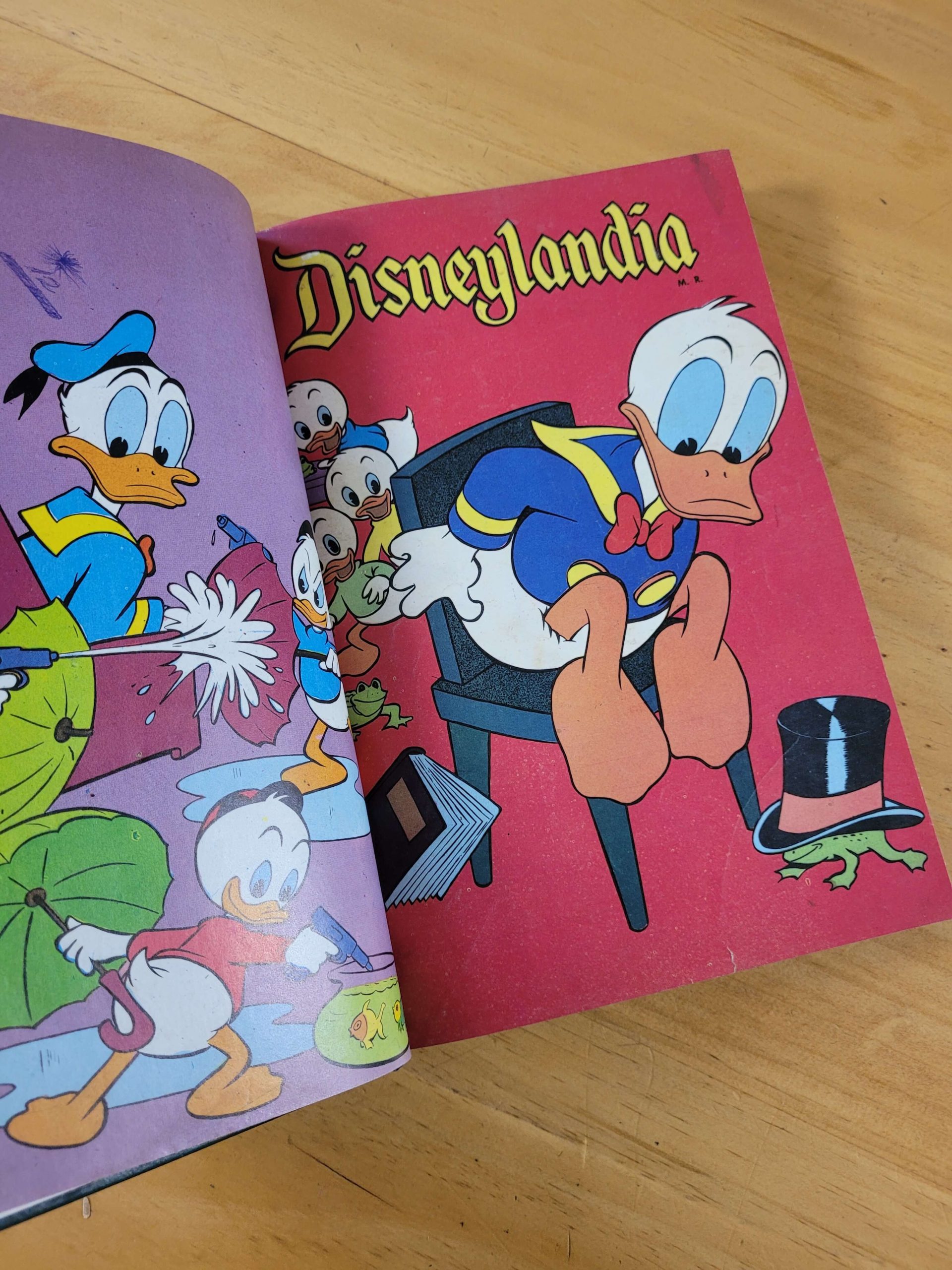 (1962) Empaste Disneylandia y DISNEY (10 revistas)