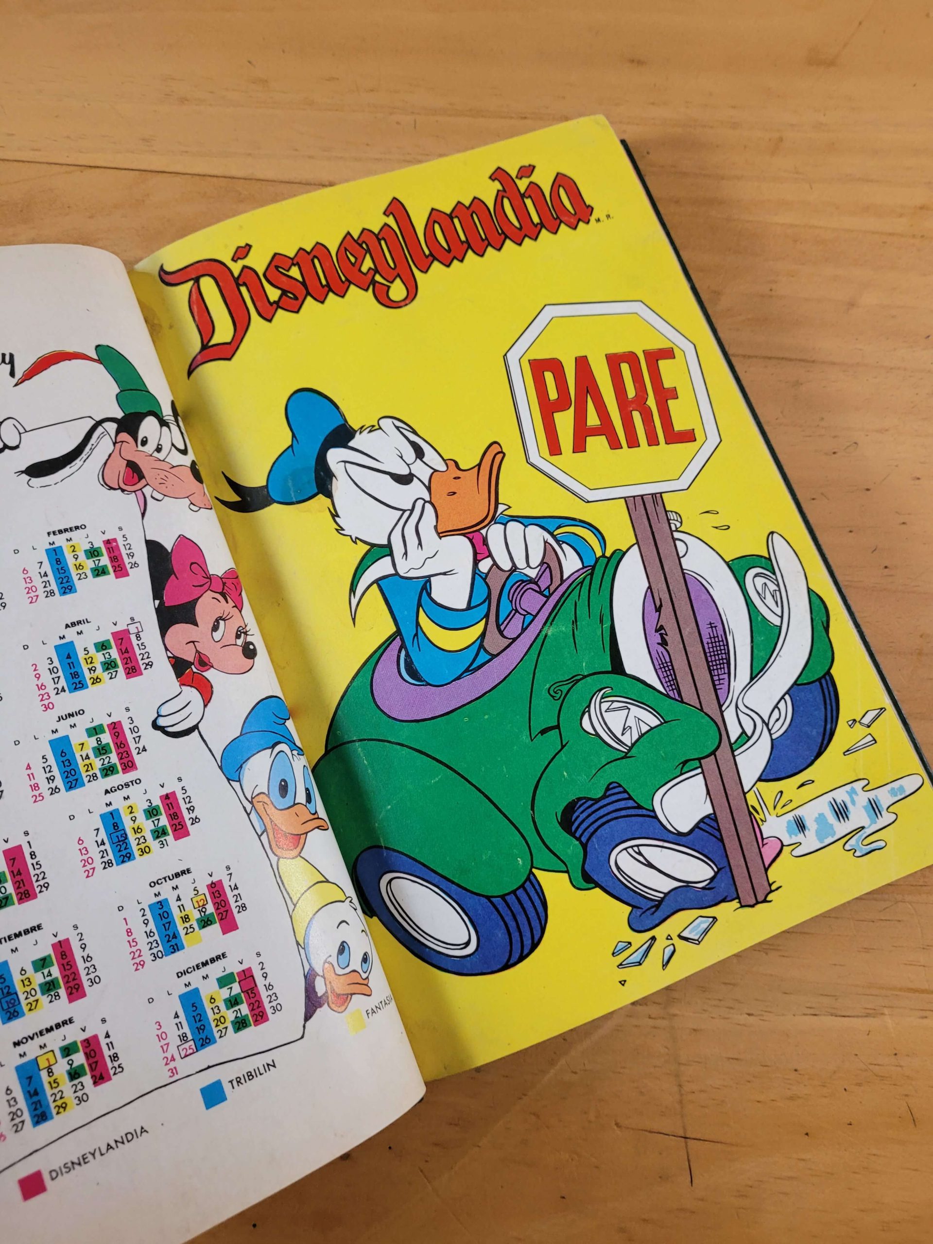 (1962) Empaste Disneylandia y DISNEY (10 revistas)