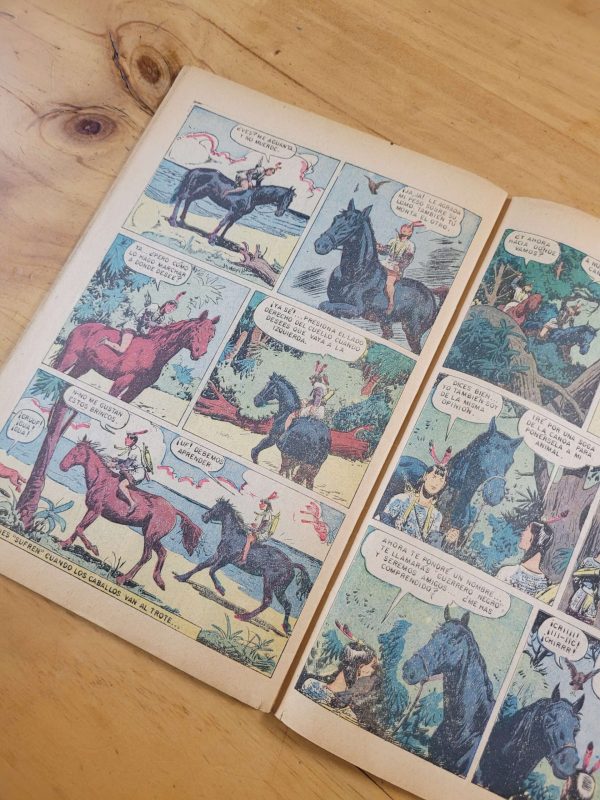 Revista EL LLANERO SOLITARIO n°226