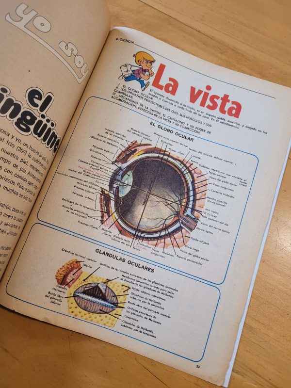 Pack n°2 MAMPATO años 70s (x4)