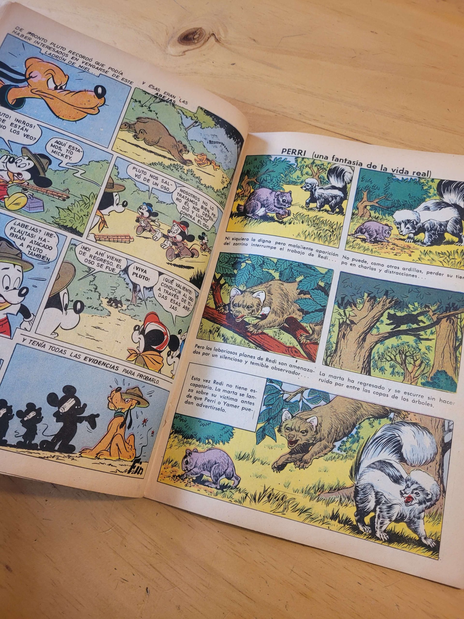 Pack DISNEYLANDIA n°3, años 60s (x9) - Imagen 11