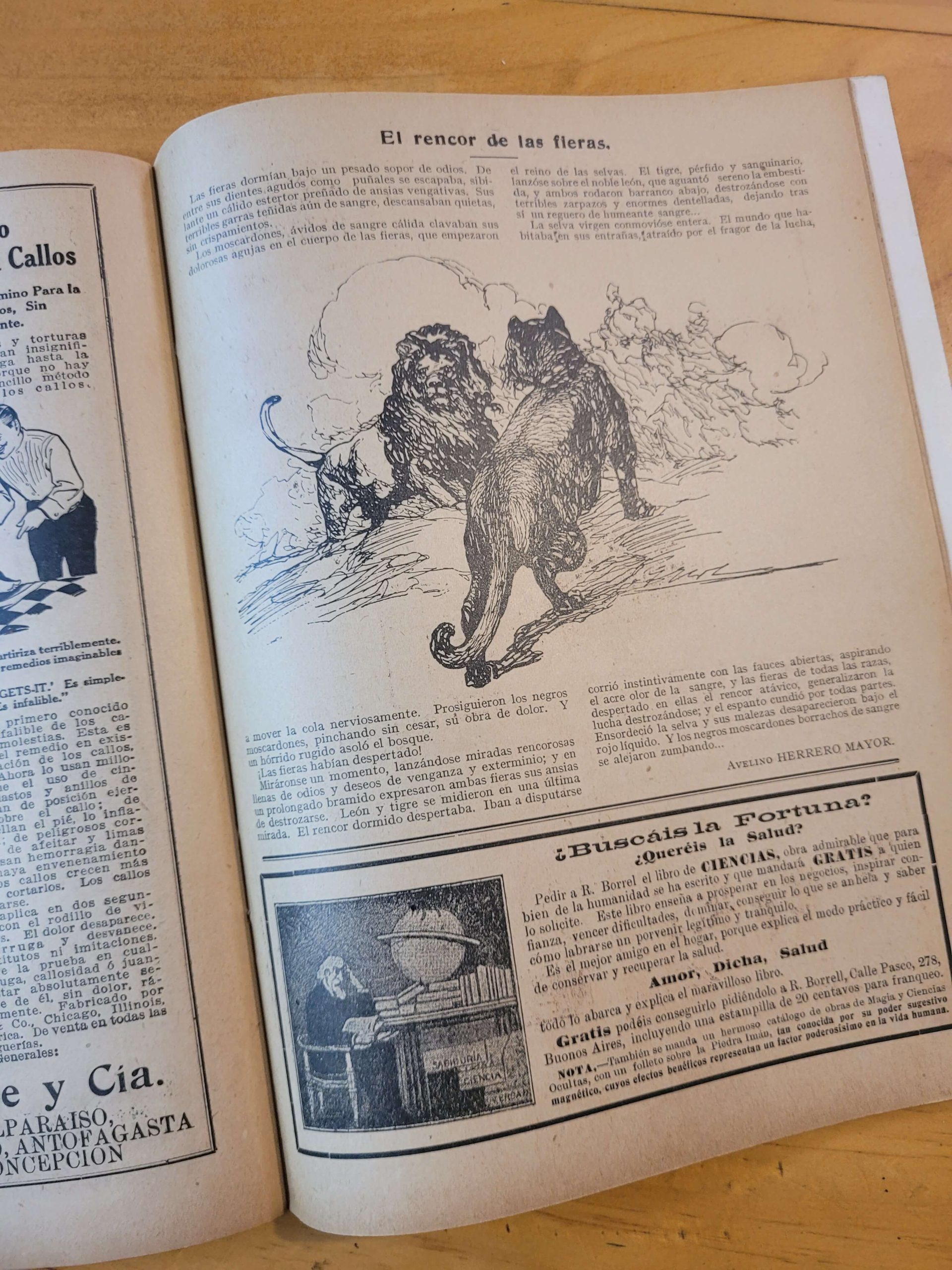 Revista SUCESOS (1916, Agosto) - Imagen 12