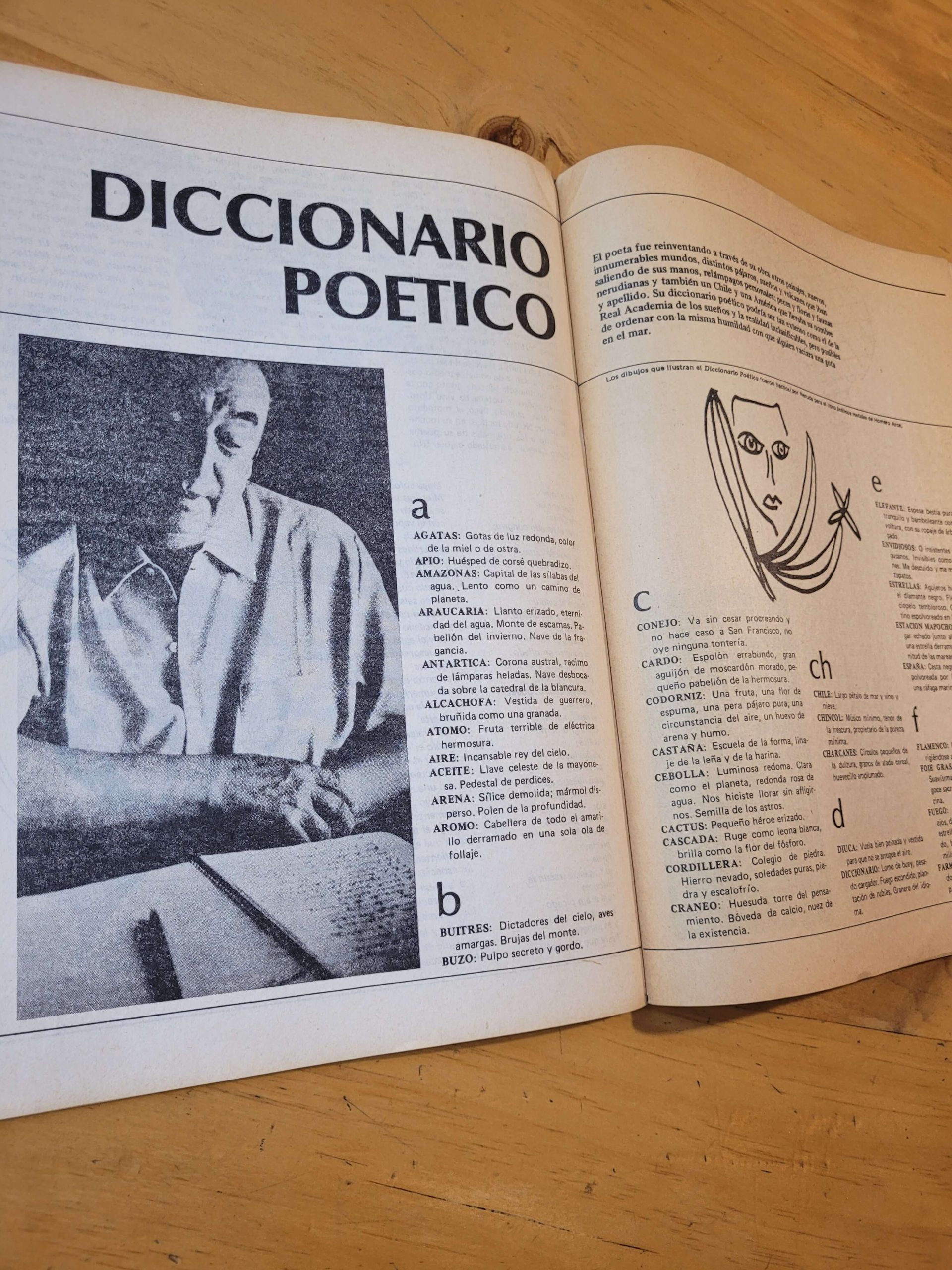 Revista LA BICICLETA n°3 (1983) - Imagen 9