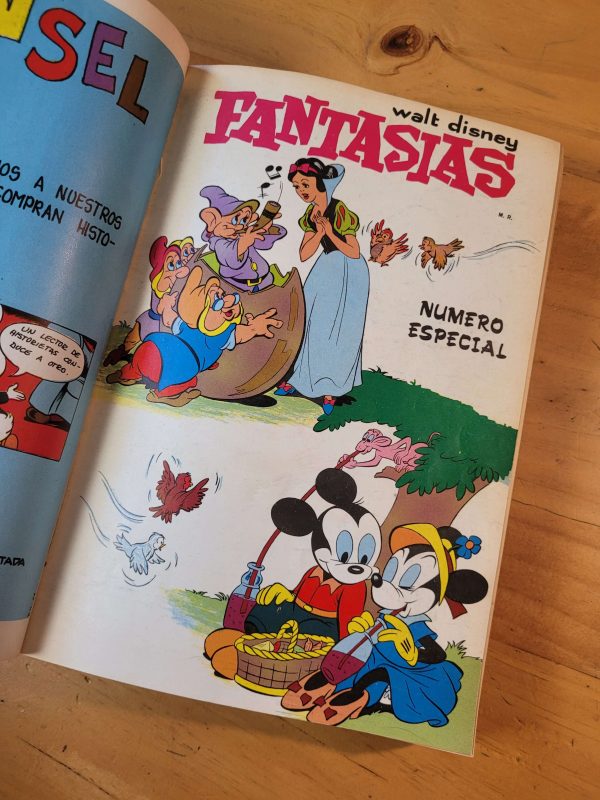 Empaste FANTASIAS de Walt Disney, 60s y 70s -incluye dos especiales- (x20)