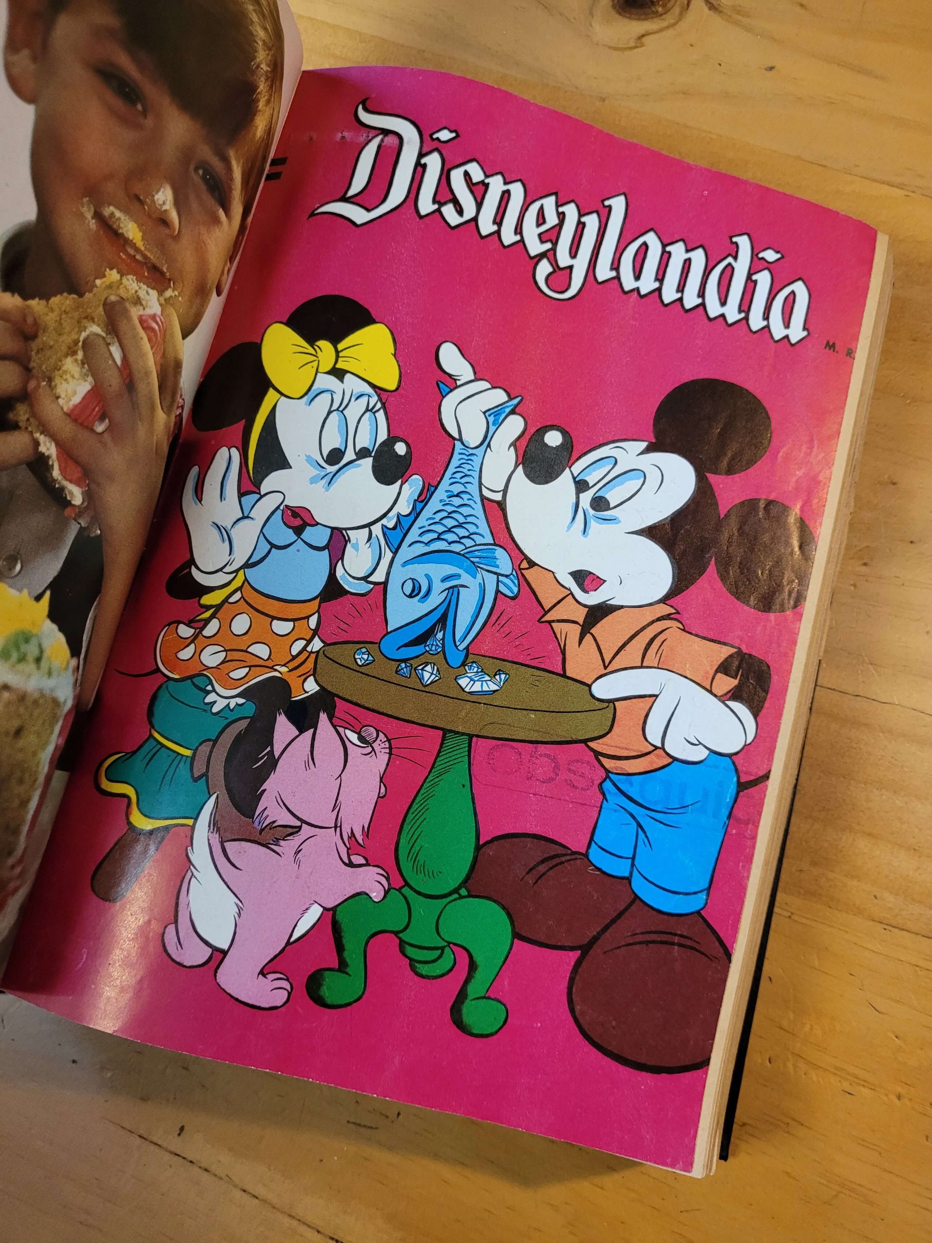 Empaste DISNEYLANDIA 60s y 70s -Incluye dos especiales- (x20) - Imagen 13