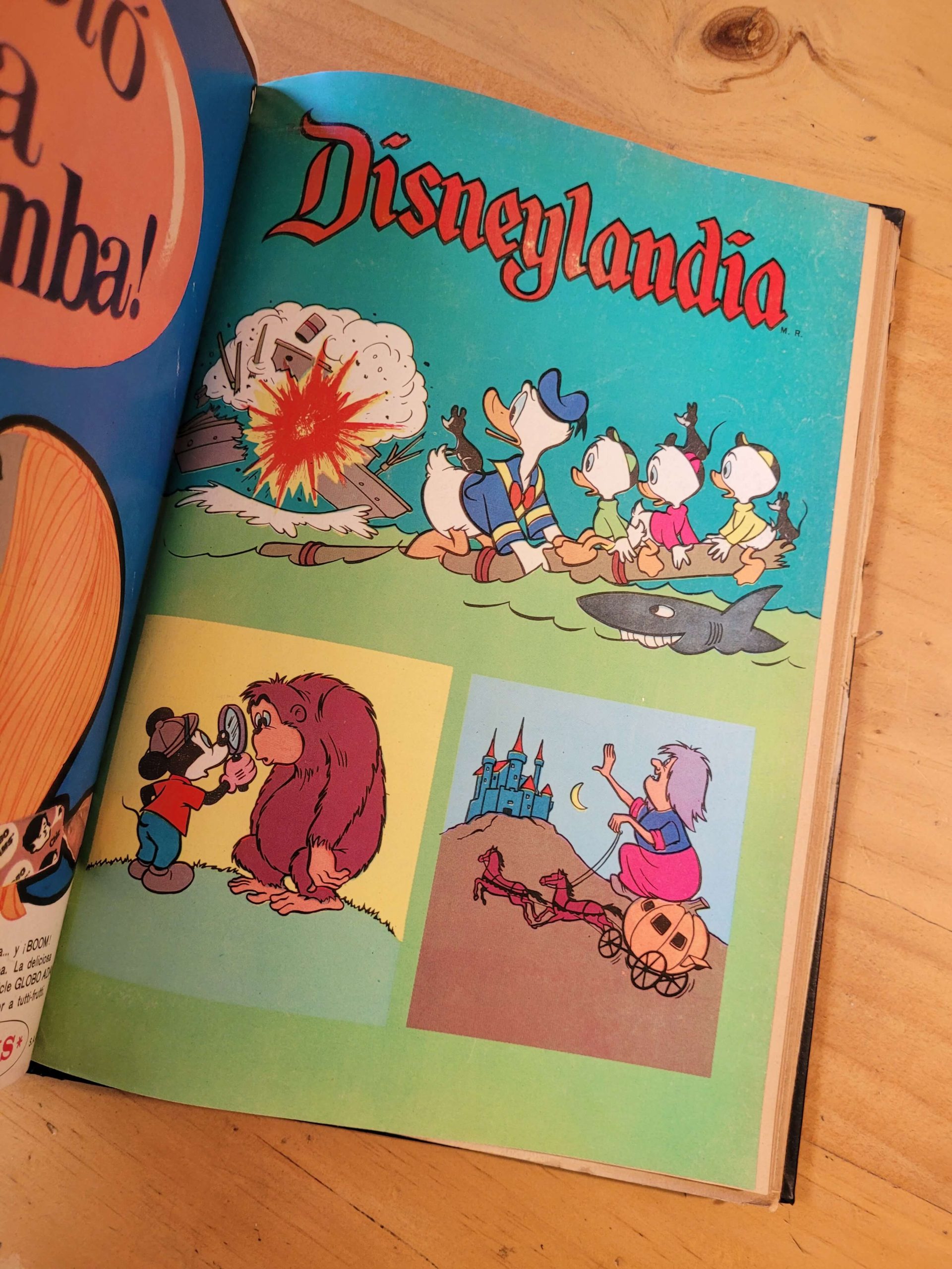 Empaste DISNEYLANDIA 60s y 70s -Incluye dos especiales- (x20) - Imagen 11