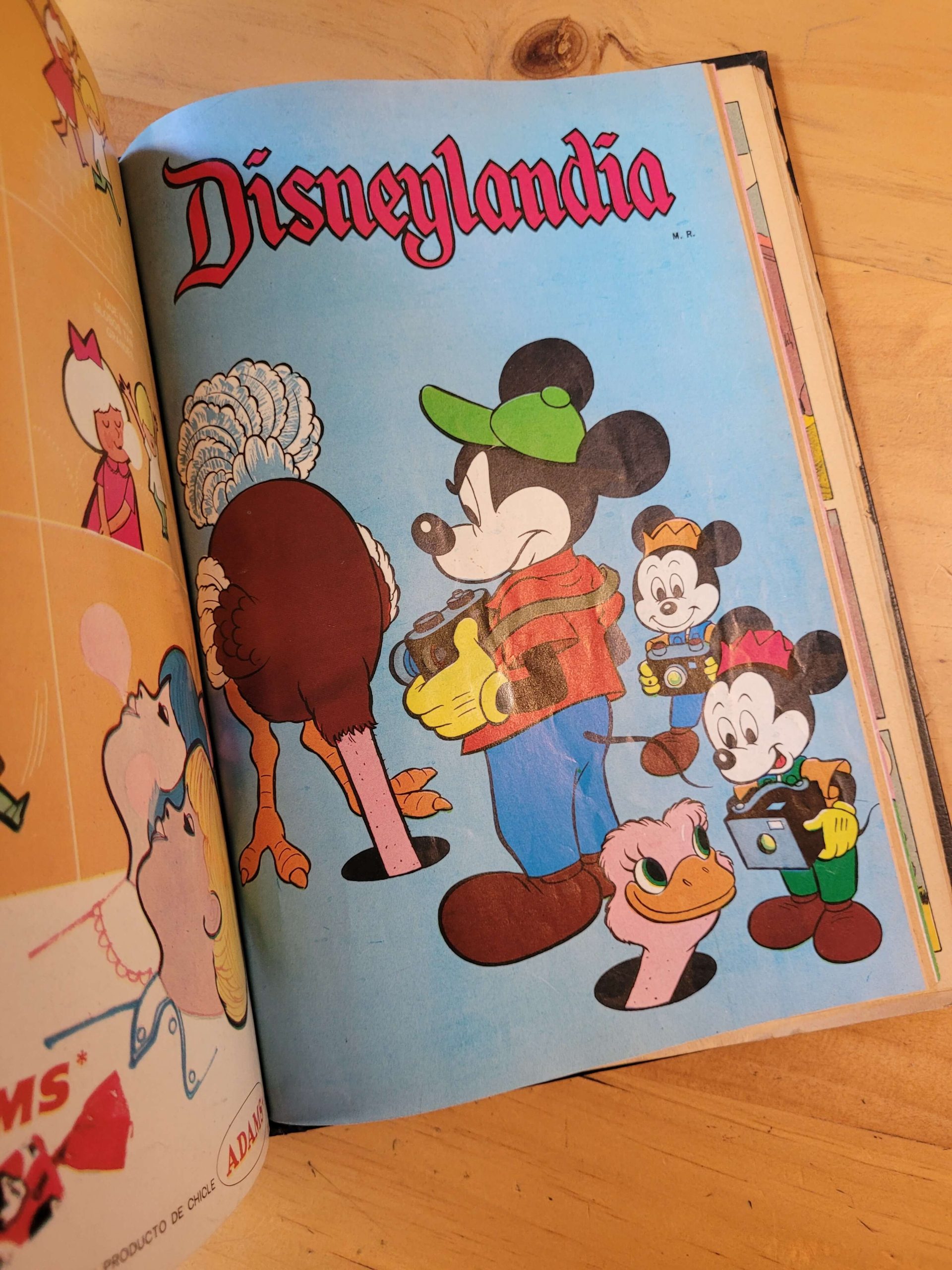 Empaste DISNEYLANDIA 60s y 70s -Incluye dos especiales- (x20) - Imagen 16