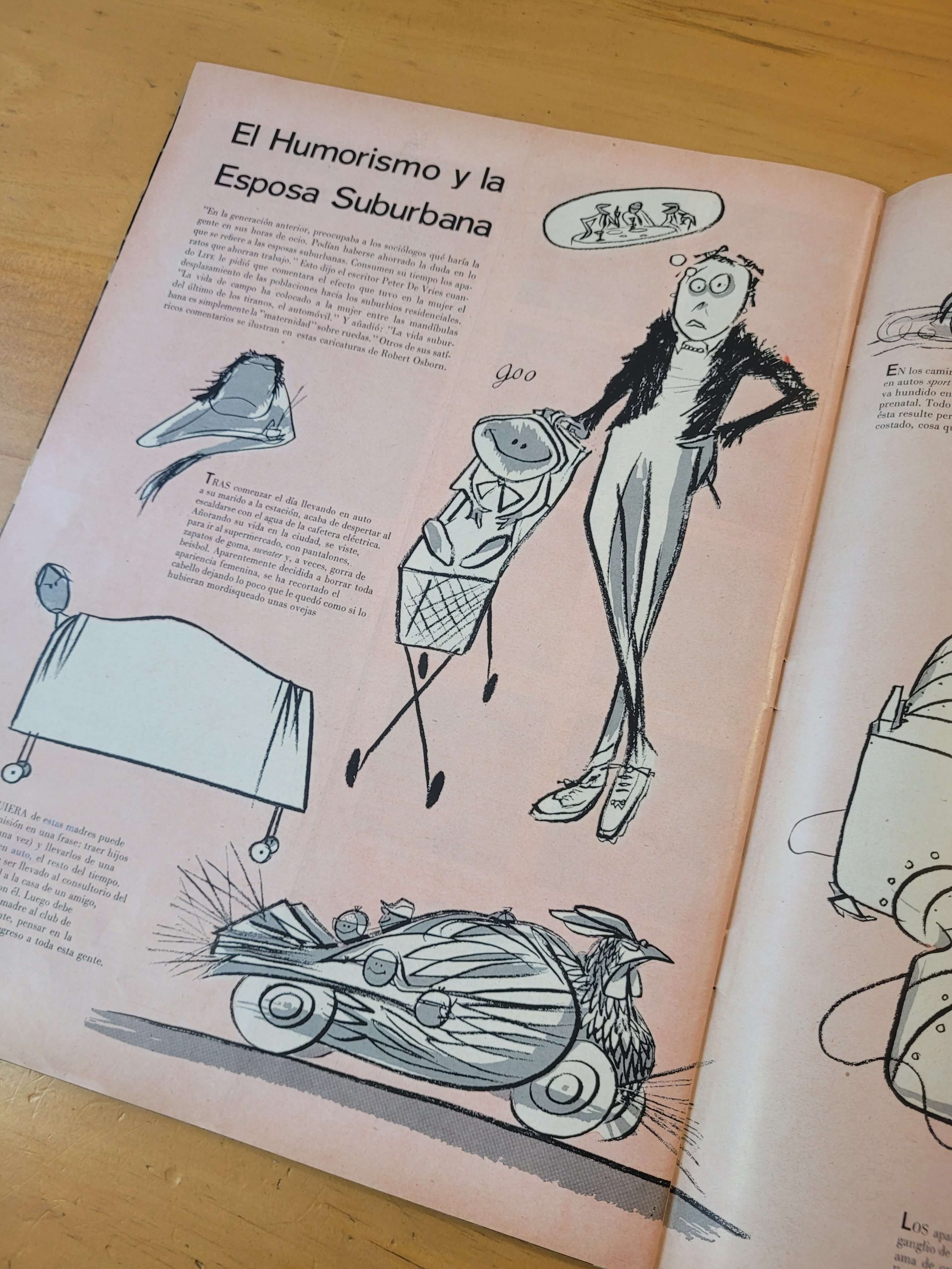 Pack revista LIFE años 50s (x5) - Imagen 4