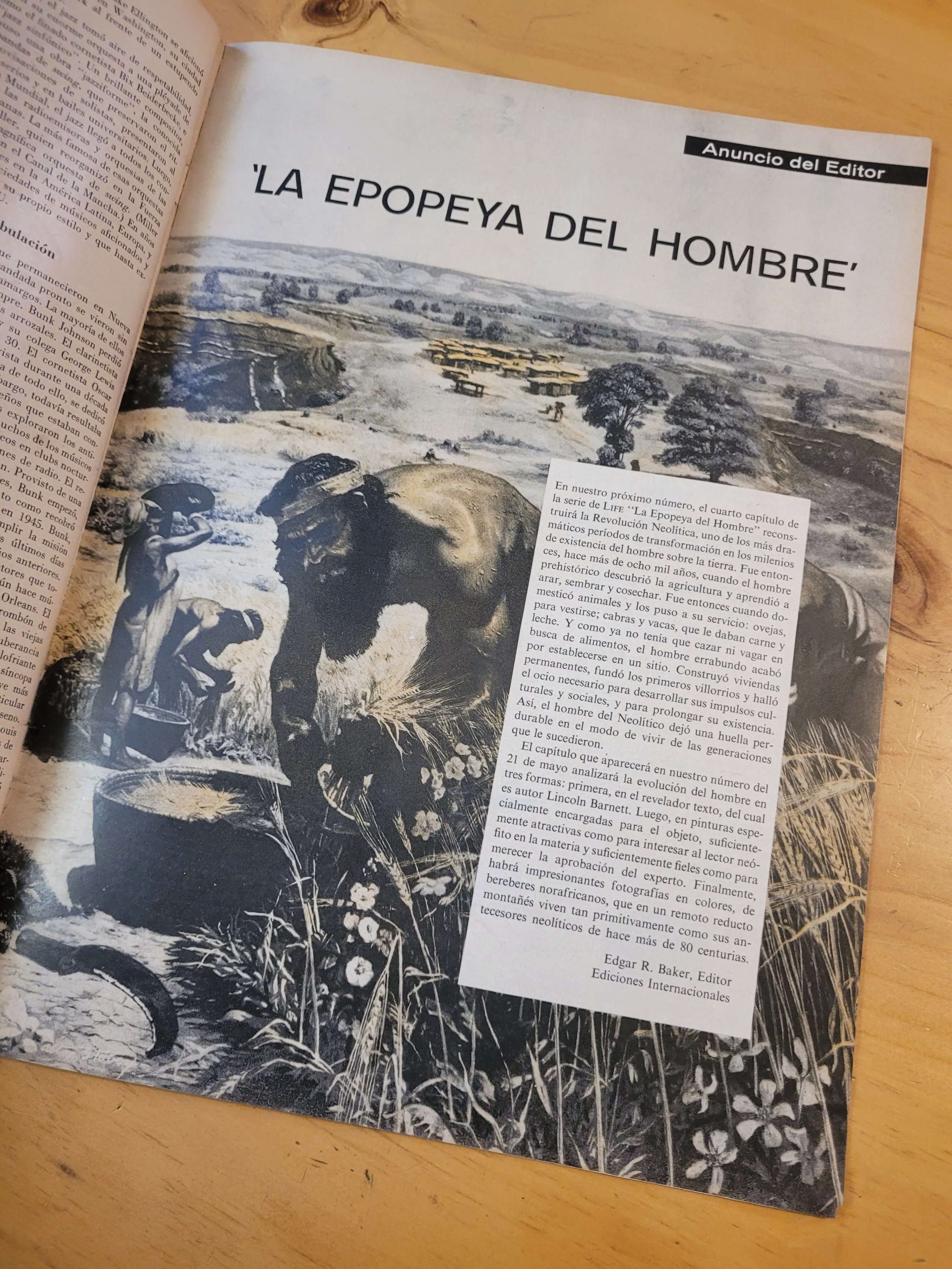 Pack revista LIFE años 50s (x5) - Imagen 14