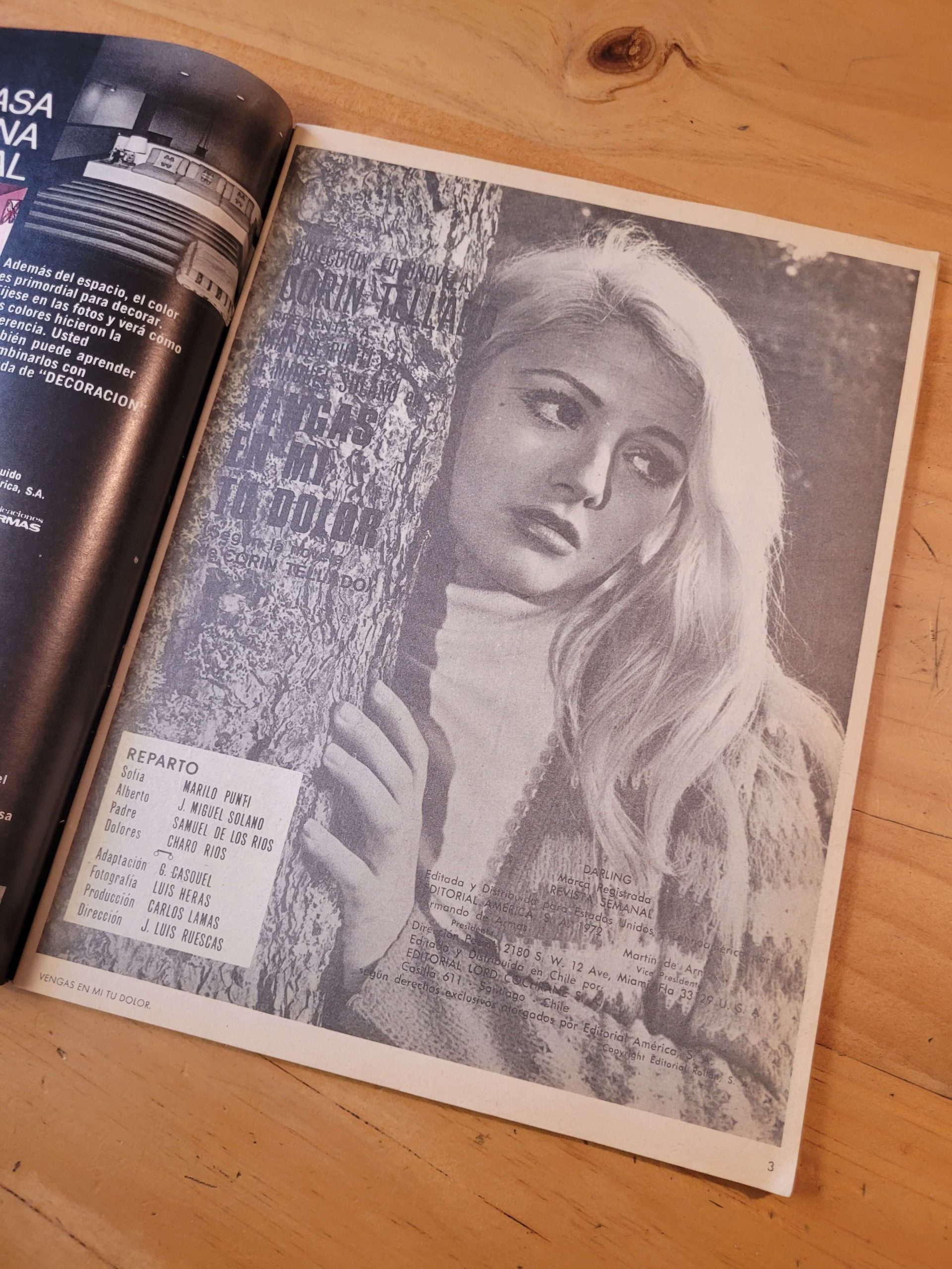 Pack FOTONOVELAS -Corin Tellado, Desiree, Selene y Cine Amor- (x4)