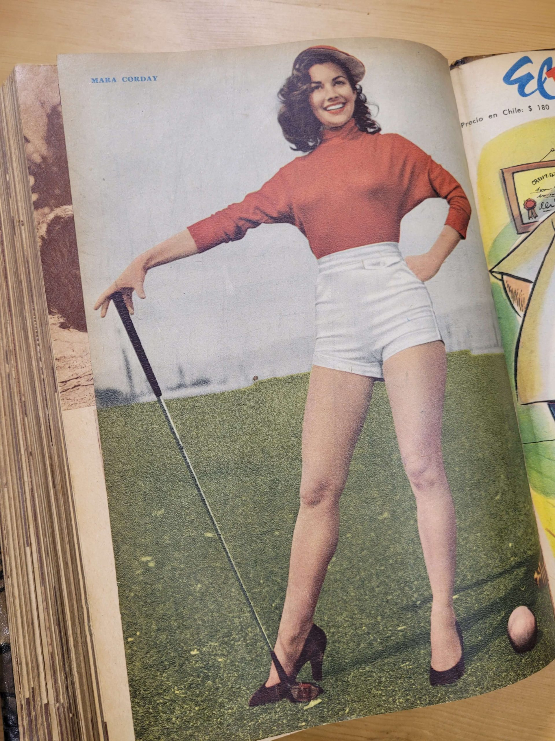 Empaste, EL PINGUINO años 60s (x25) - Imagen 28