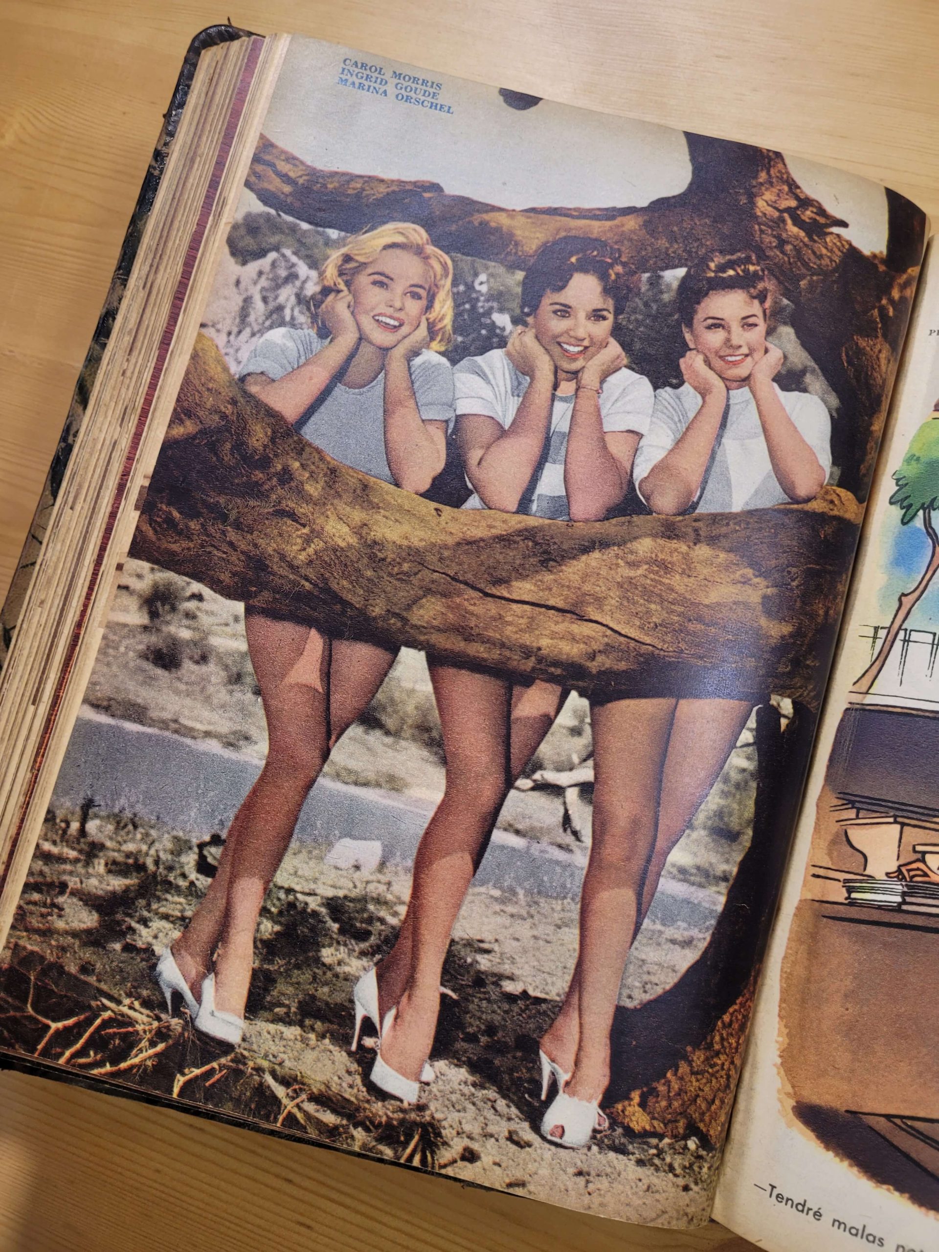 Empaste, EL PINGUINO años 60s (x25) - Imagen 38