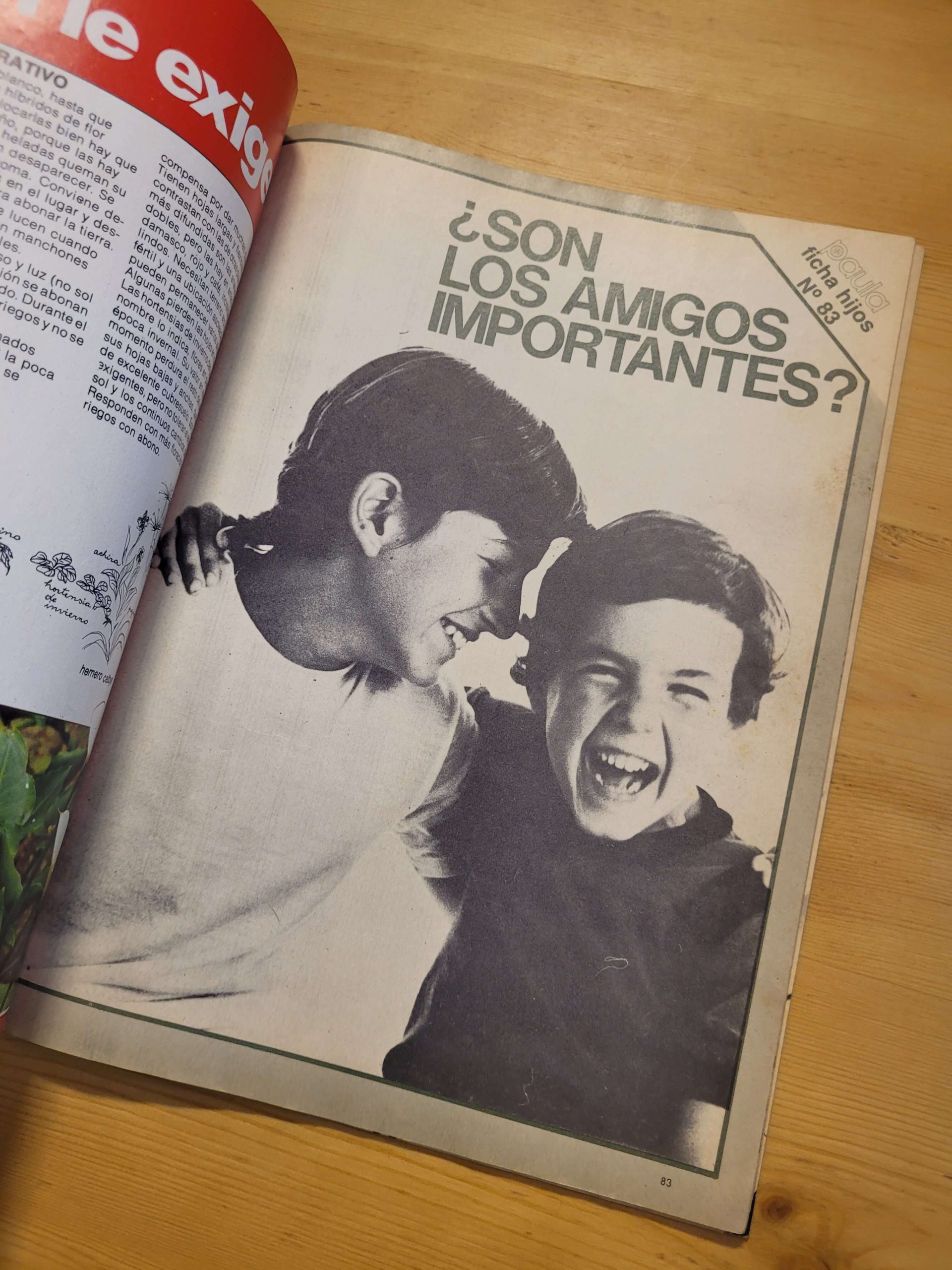 Pack PAULA años 70s n°1 (x4) - Imagen 4