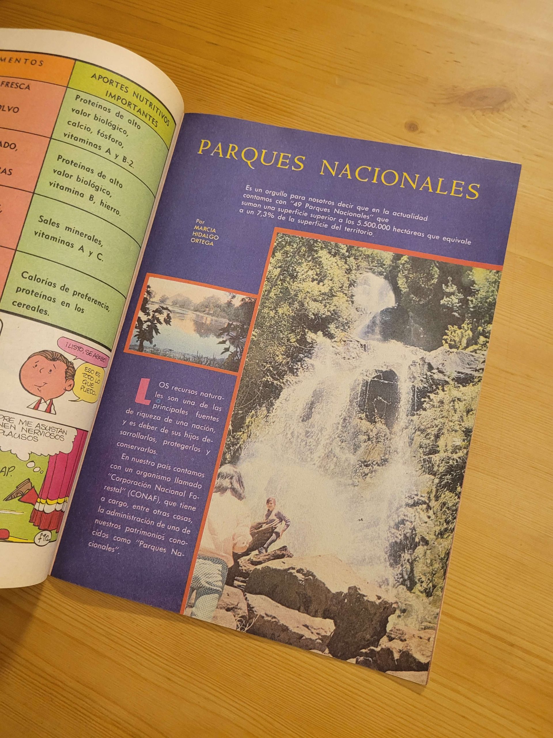 Pack REMOLINO años 70s (x8) - Imagen 14