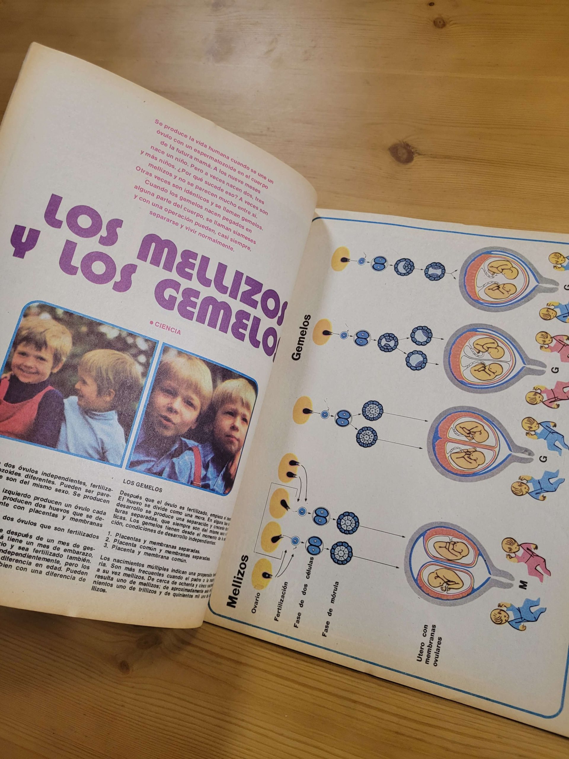 Pack MAMPATO años 70s n°2 (x10) - Imagen 4