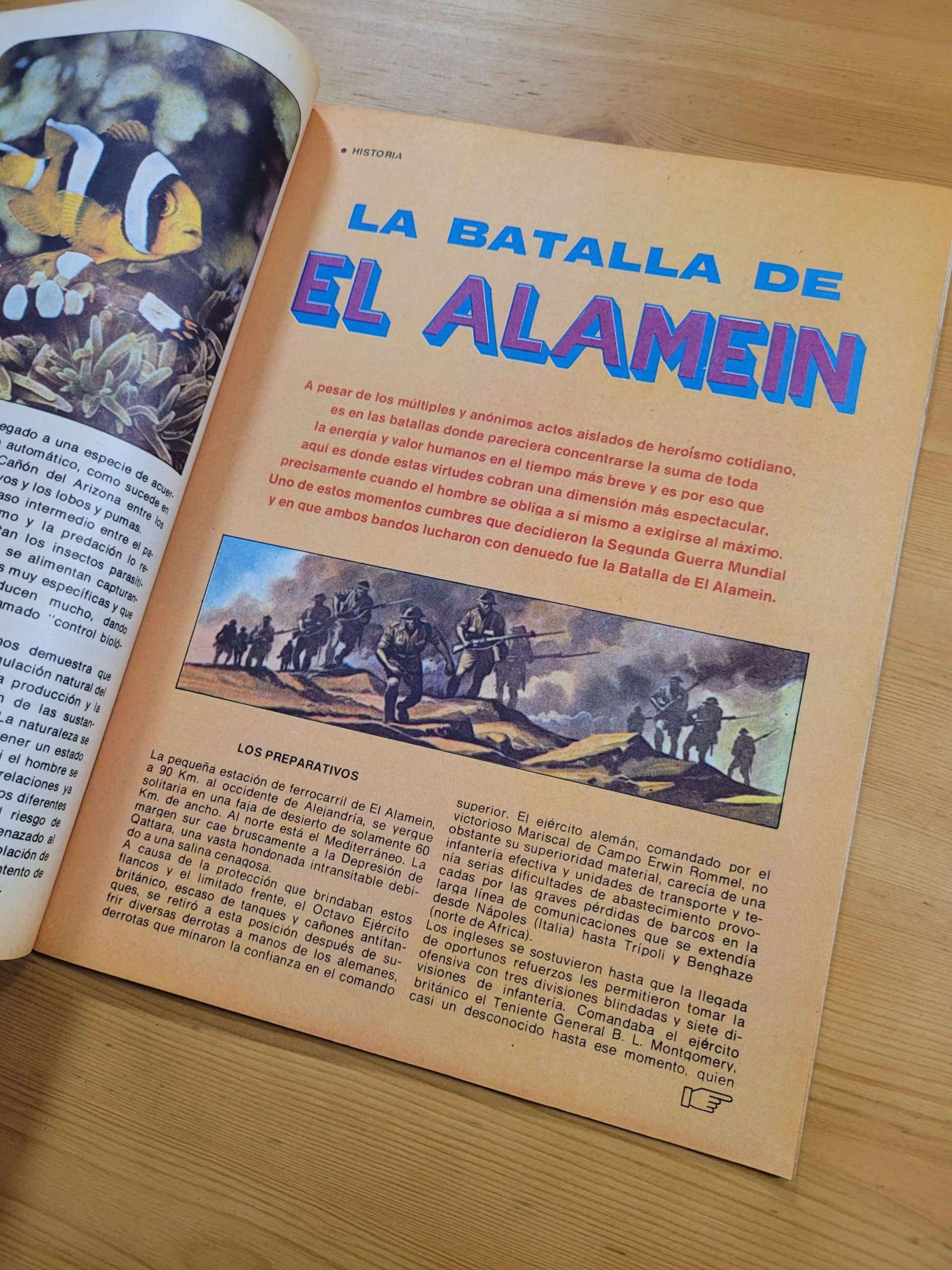 Pack MAMPATO años 70s n°3 (x4) - Imagen 20