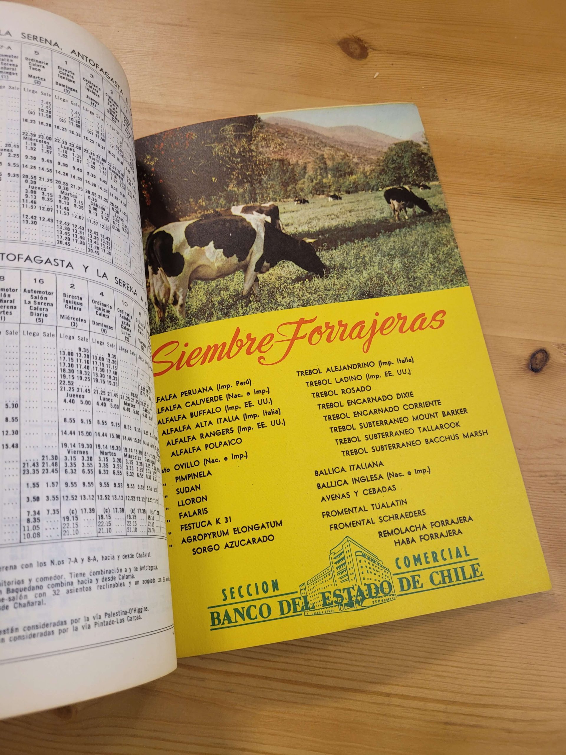 Pack EN VIAJE años 60s (x3) - Imagen 9