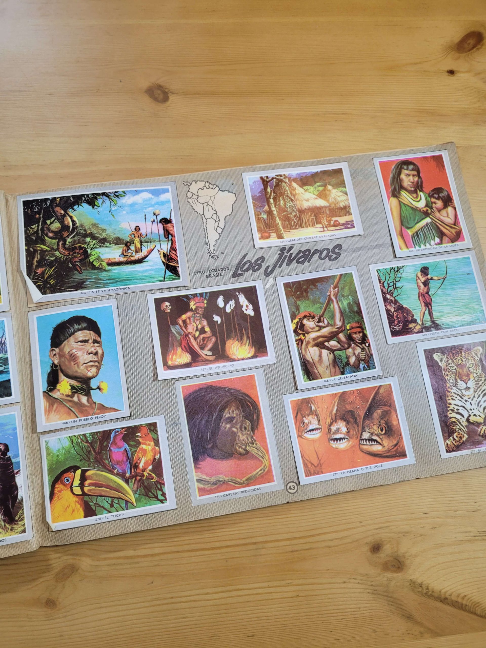 Álbum VIDA Y COLOR años 60s -CODARTE- (Original y COMPLETO) - Imagen 45