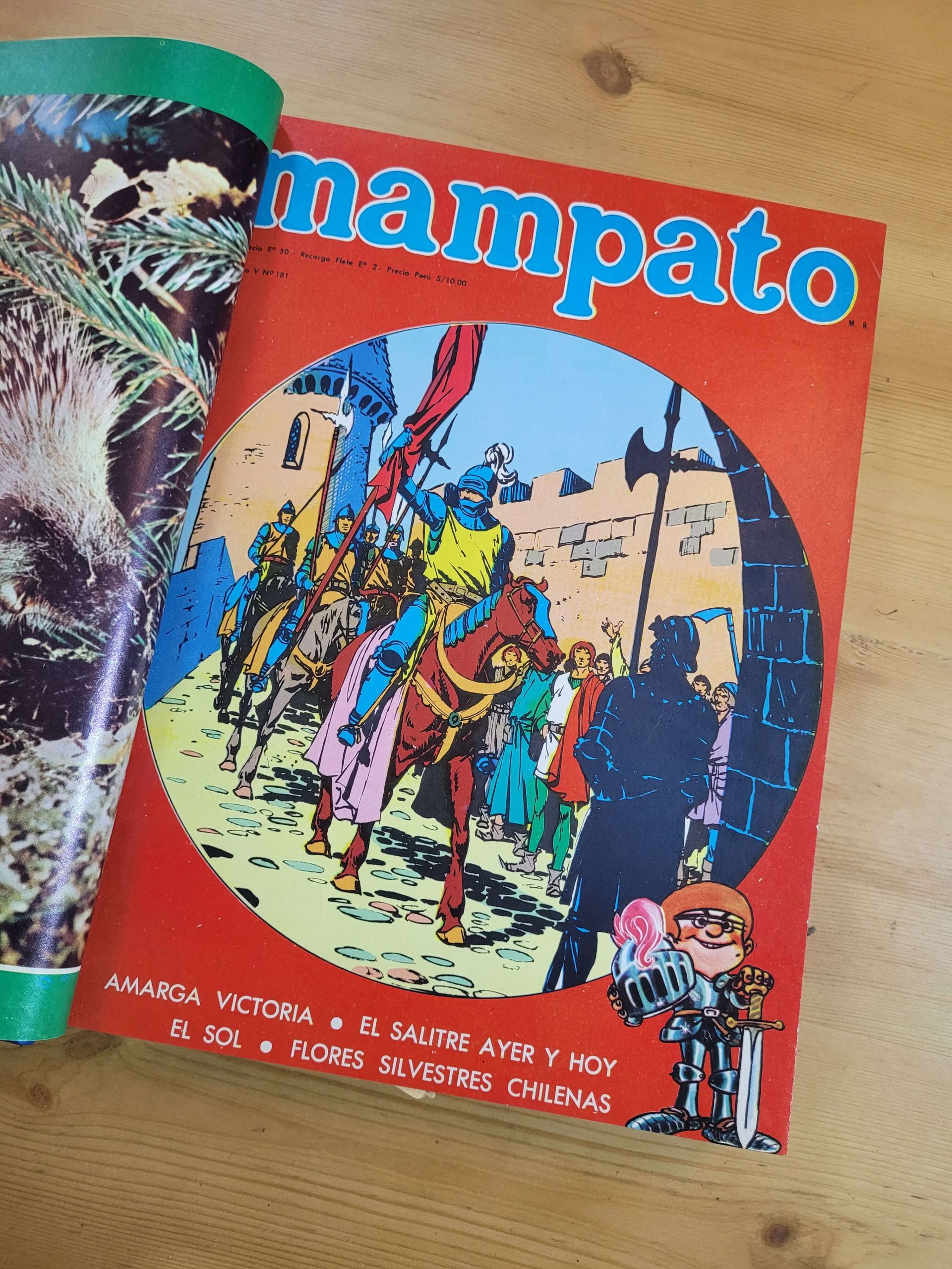 Empaste MAMPATO (10 revistas) - Imagen 3