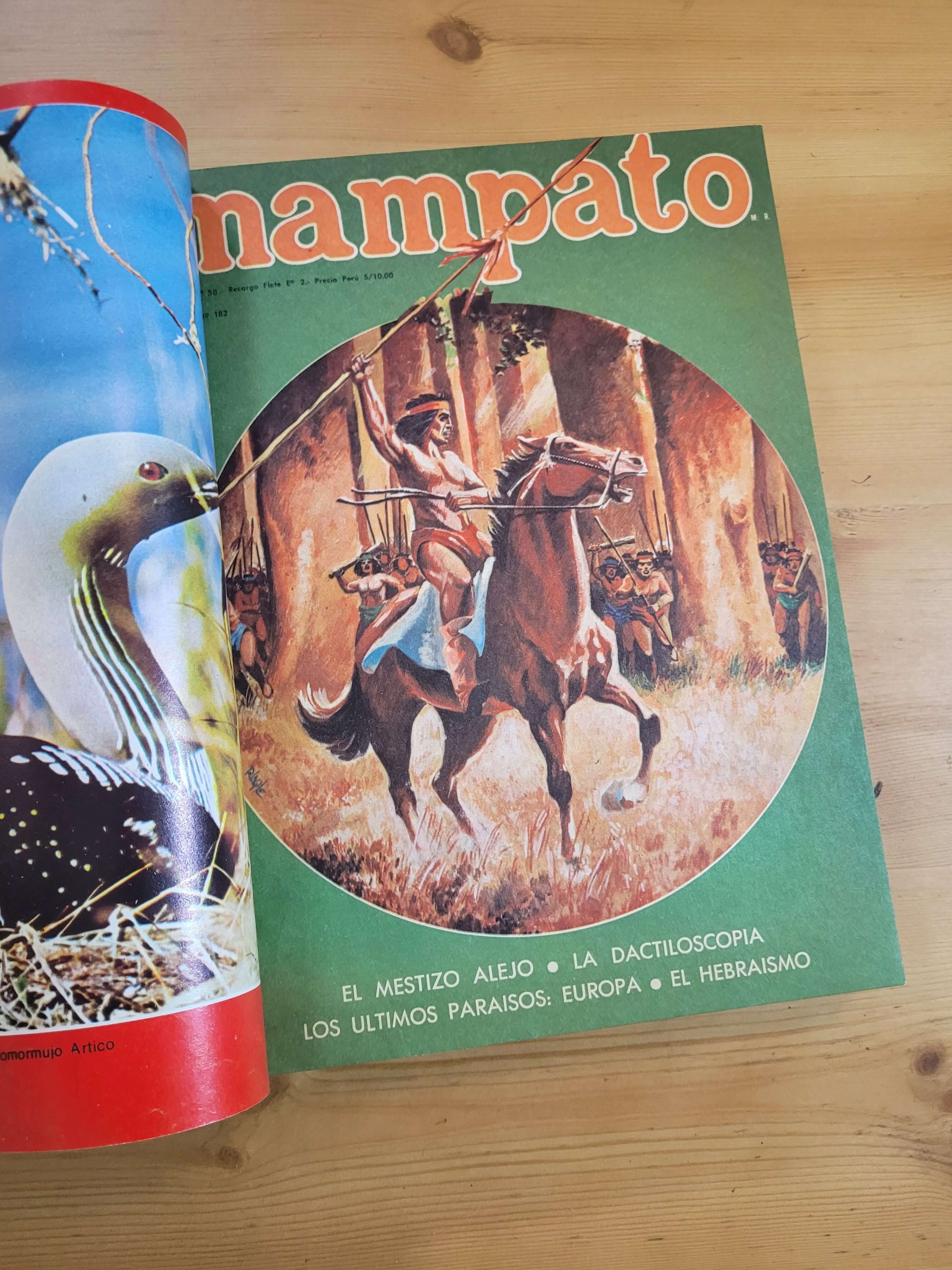 Empaste MAMPATO (10 revistas)