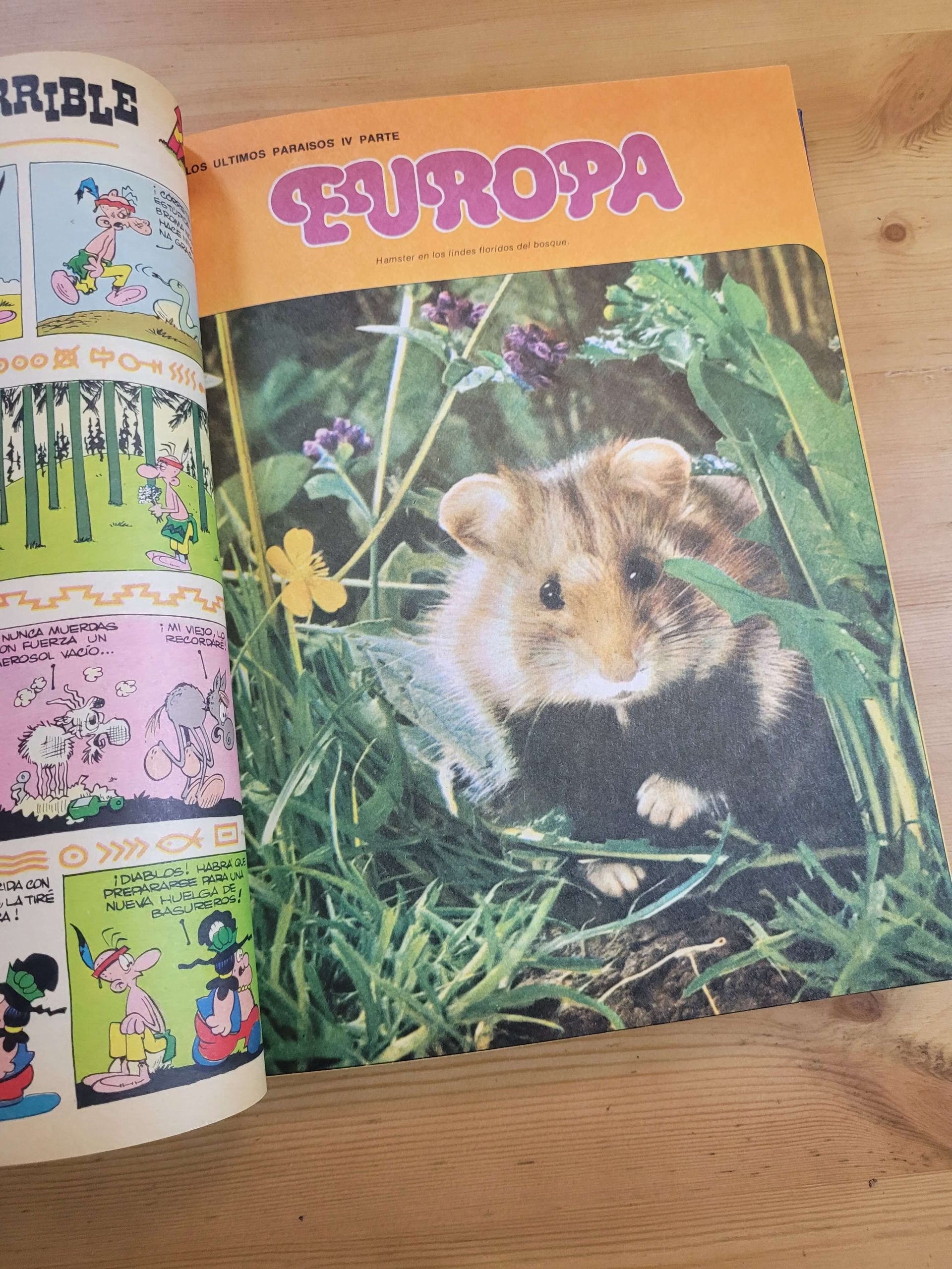 Empaste MAMPATO (10 revistas) - Imagen 21