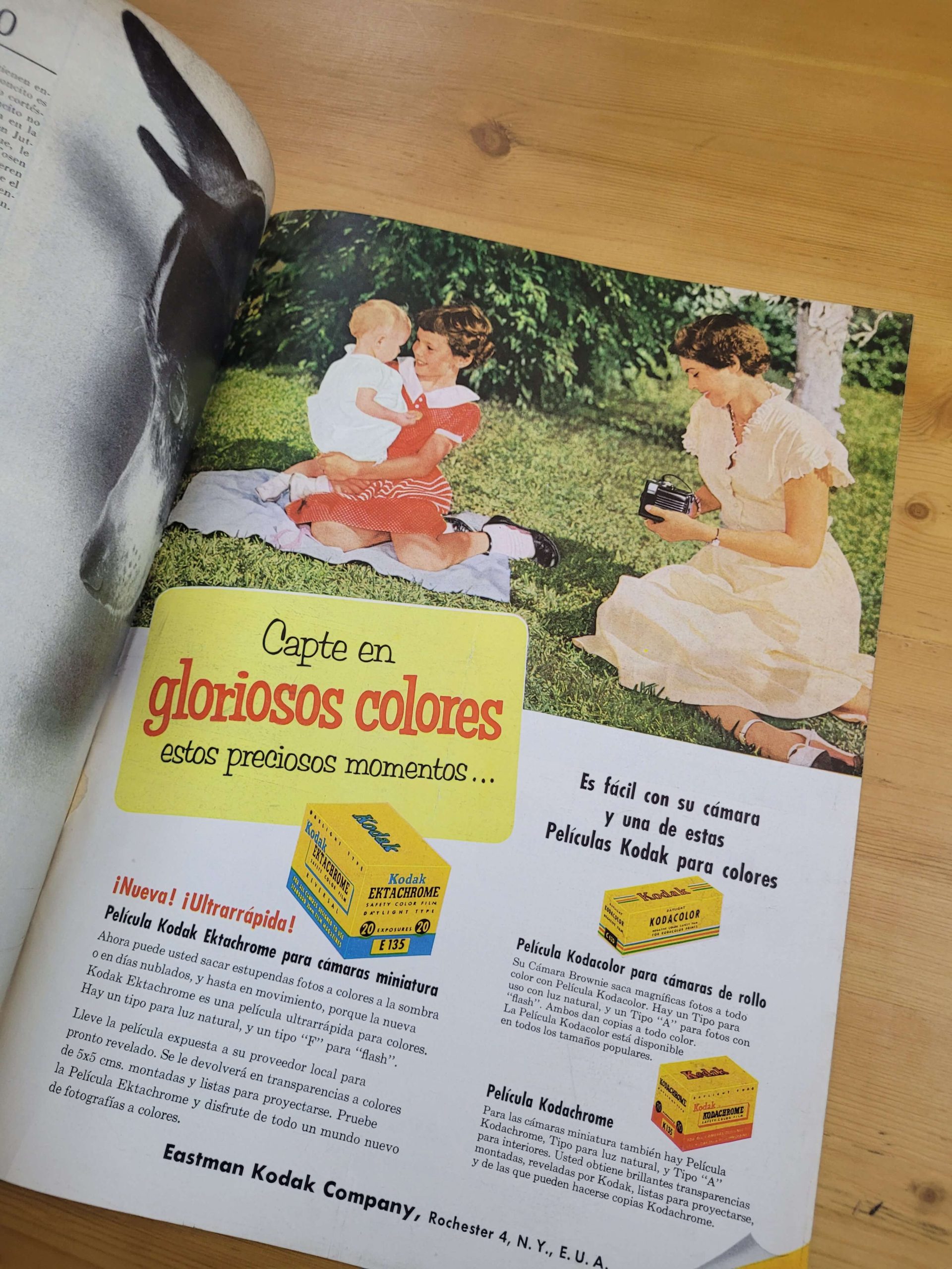 Pack LIFE años 50s n°1 (x4) - Imagen 11