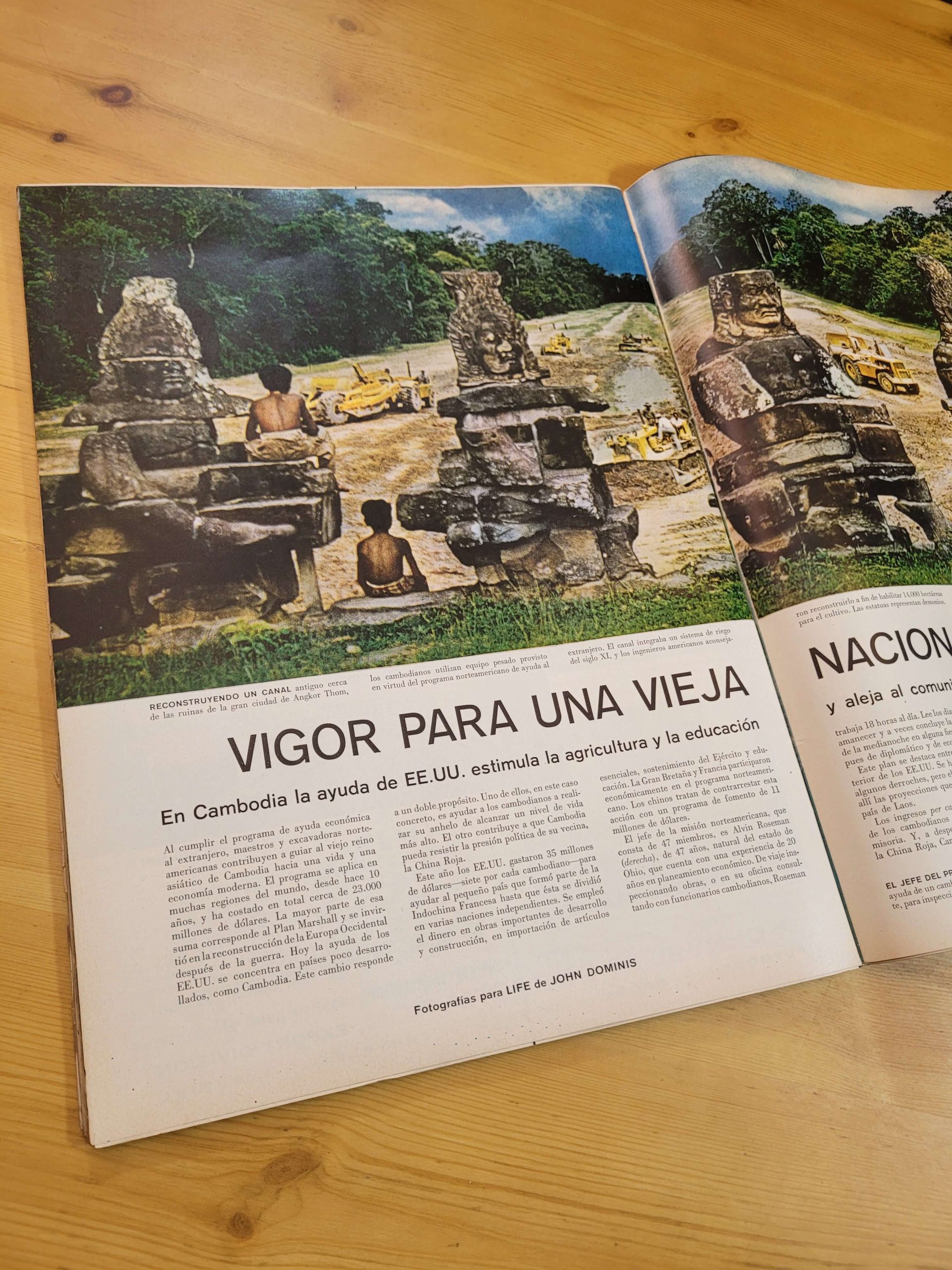 Pack LIFE Especiales n°1 (x3) - Imagen 17
